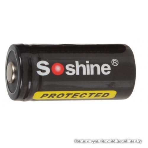 soshine 1.jpg