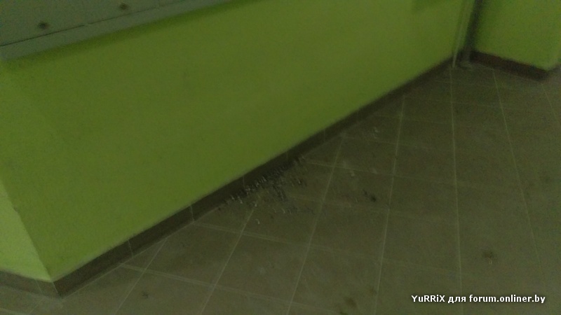 2016-03-02 07.41.10.jpg