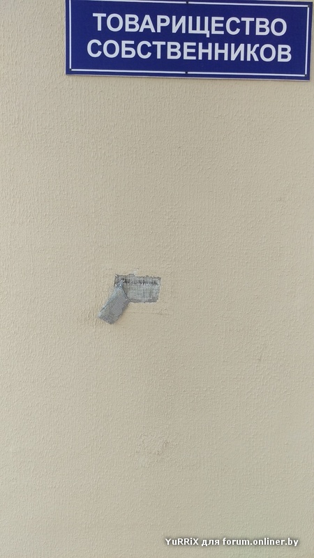 2016-03-27 12.29.15.jpg