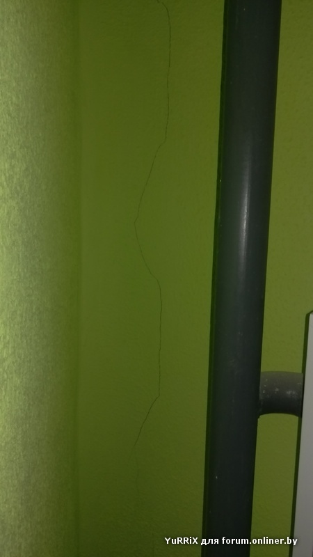 2016-03-27 12.25.43.jpg