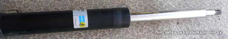 Амор1.jpg