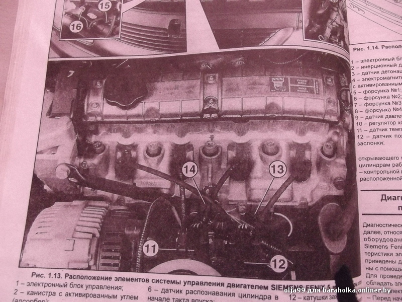 DSCF5897.JPG