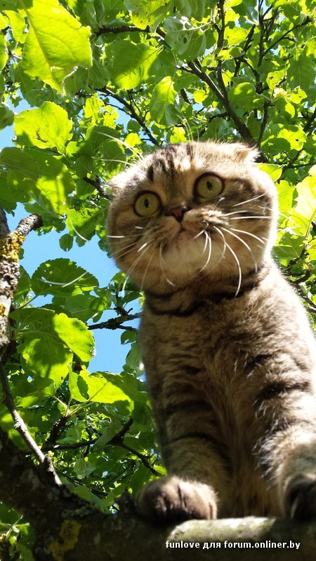 2015-07-04 16.47.05.jpg