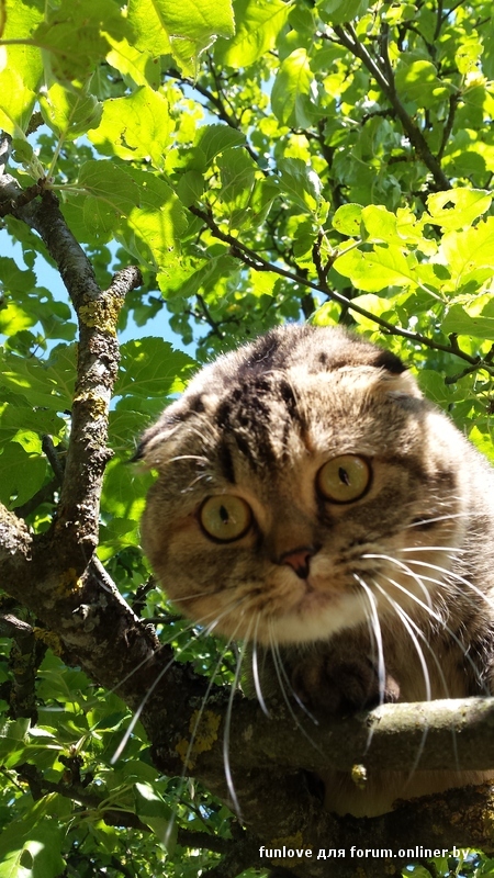 2015-07-04 16.47.00.jpg