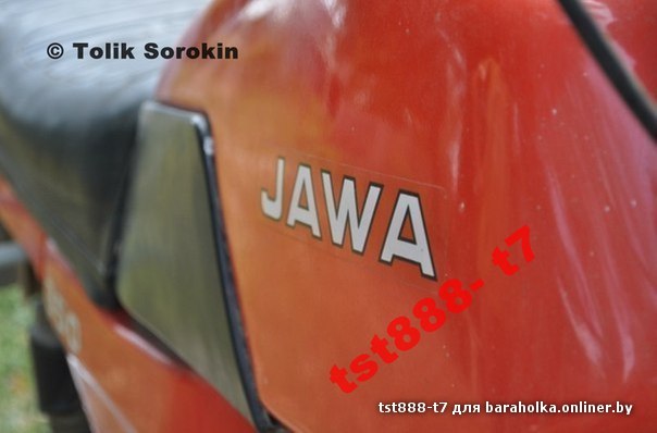 aMkla79mghY.jpg