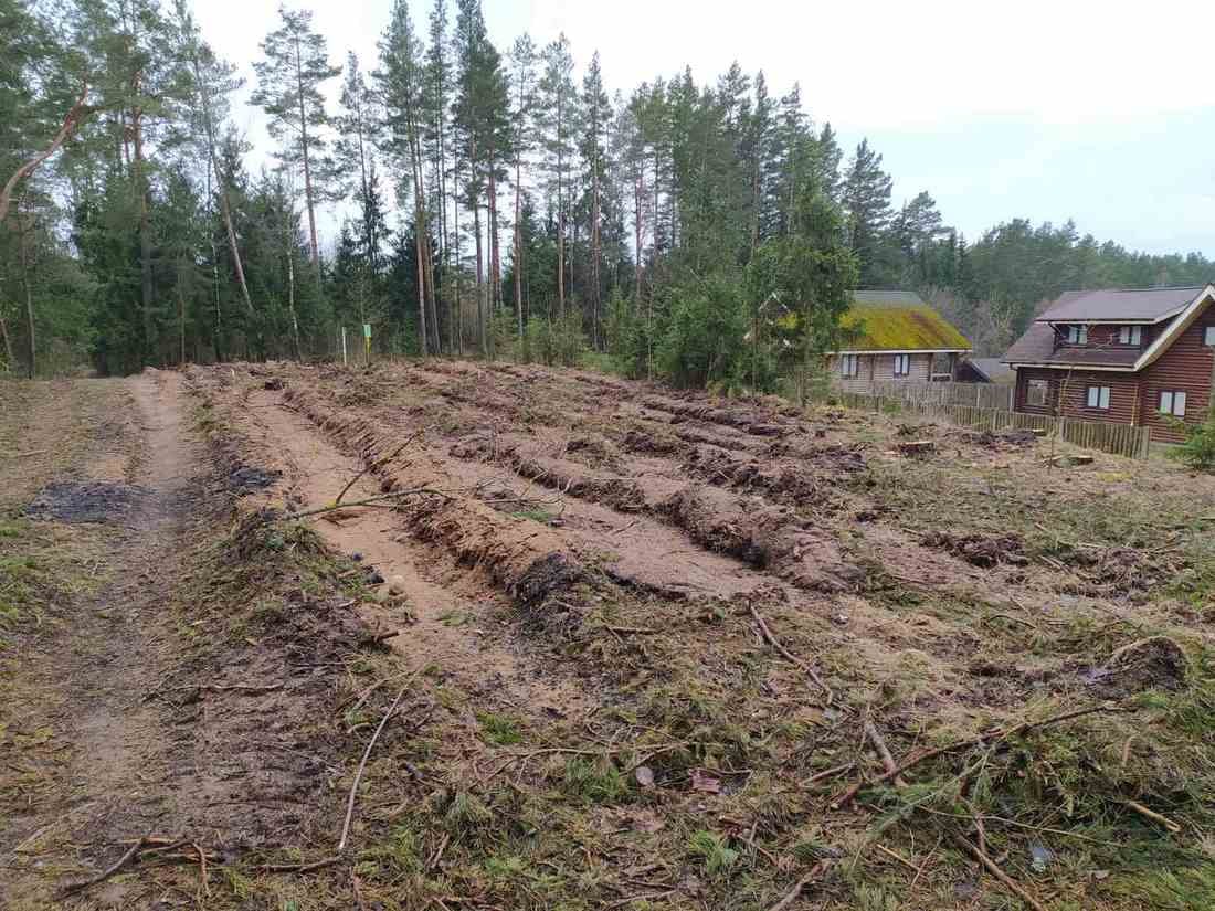 На берегу Вячи рубят лес. Количество приговоренных деревьев не разглашается