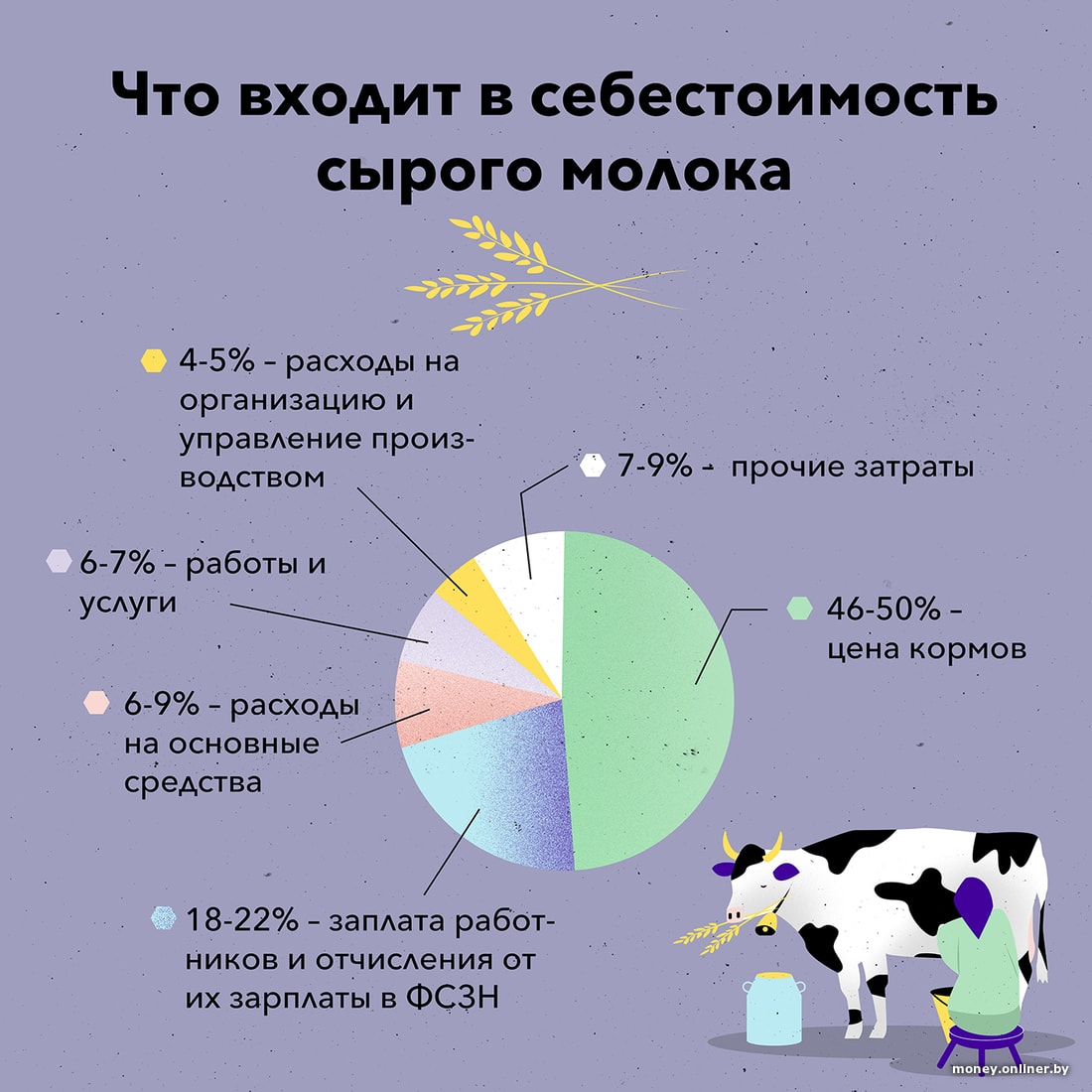 Разбираемся в ценообразовании молочки: что идет государству, магазину и  дояркам