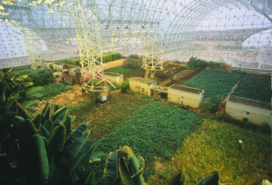 «Биосфера-2»: Аризонский Ноев ковчег. Как провалился эксперимент по созданию замкнутой экосистемы 