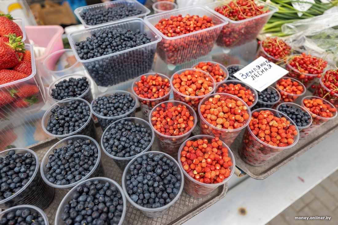 Начался сезон черники. Почем продают первые ягоды из Брестской области?