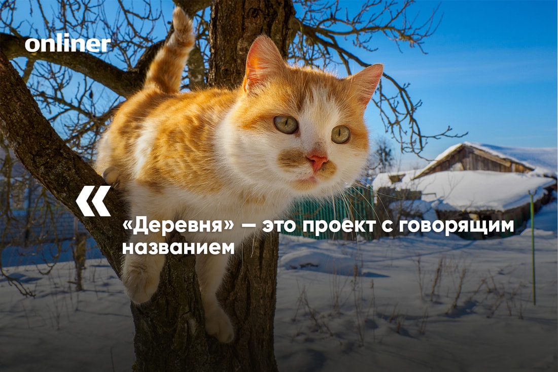 чего не хватает в поселках. 30f6c227b672d78ba7d71d79c65c6840. чего не хватает в поселках фото. чего не хватает в поселках-30f6c227b672d78ba7d71d79c65c6840. картинка чего не хватает в поселках. картинка 30f6c227b672d78ba7d71d79c65c6840. На прошлой неделе мы запустили небольшой цикл статей о белорусской глубинке. Журналисты разъехались в командировки, чтобы показать, как живут и умирают маленькие деревни. Мы побывали и в увядающих населенных пунктах, и в образцовом агрогородке, который построил Нацбанк. Заглянули в гости в частное фермерское хозяйство и в поселение дауншифтеров. А затем сравнили белорусскую агрореальность с польской. Пришло время сделать некоторые выводы.