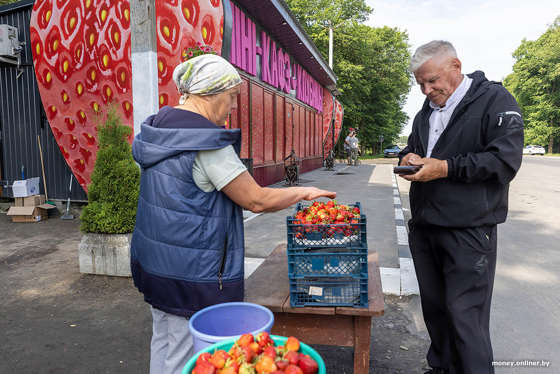 Сколько зарабатывают на клубнике