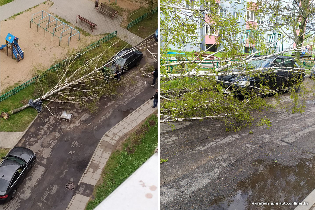 Непогода в Минске. Последствия