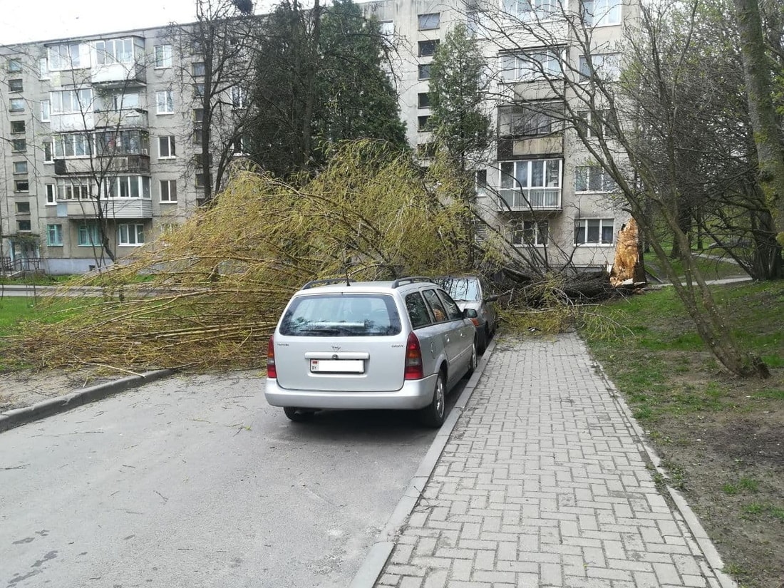 Валит деревья, срывает крыши. Сильный ветер гуляет по стране