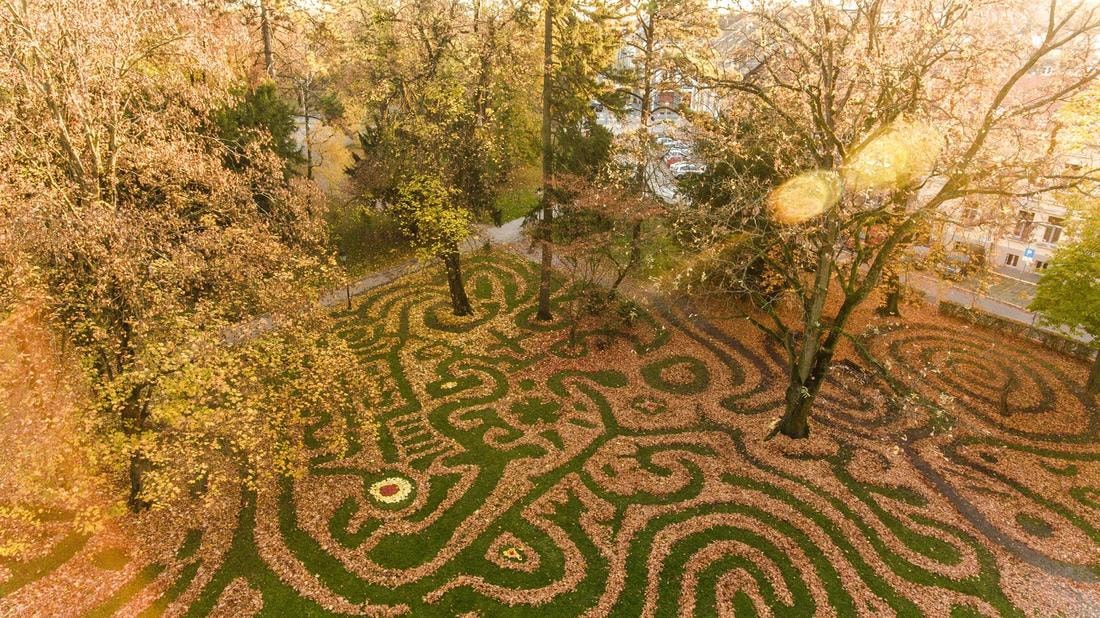 Хорватский художник создает картины из листьев. Получается красиво