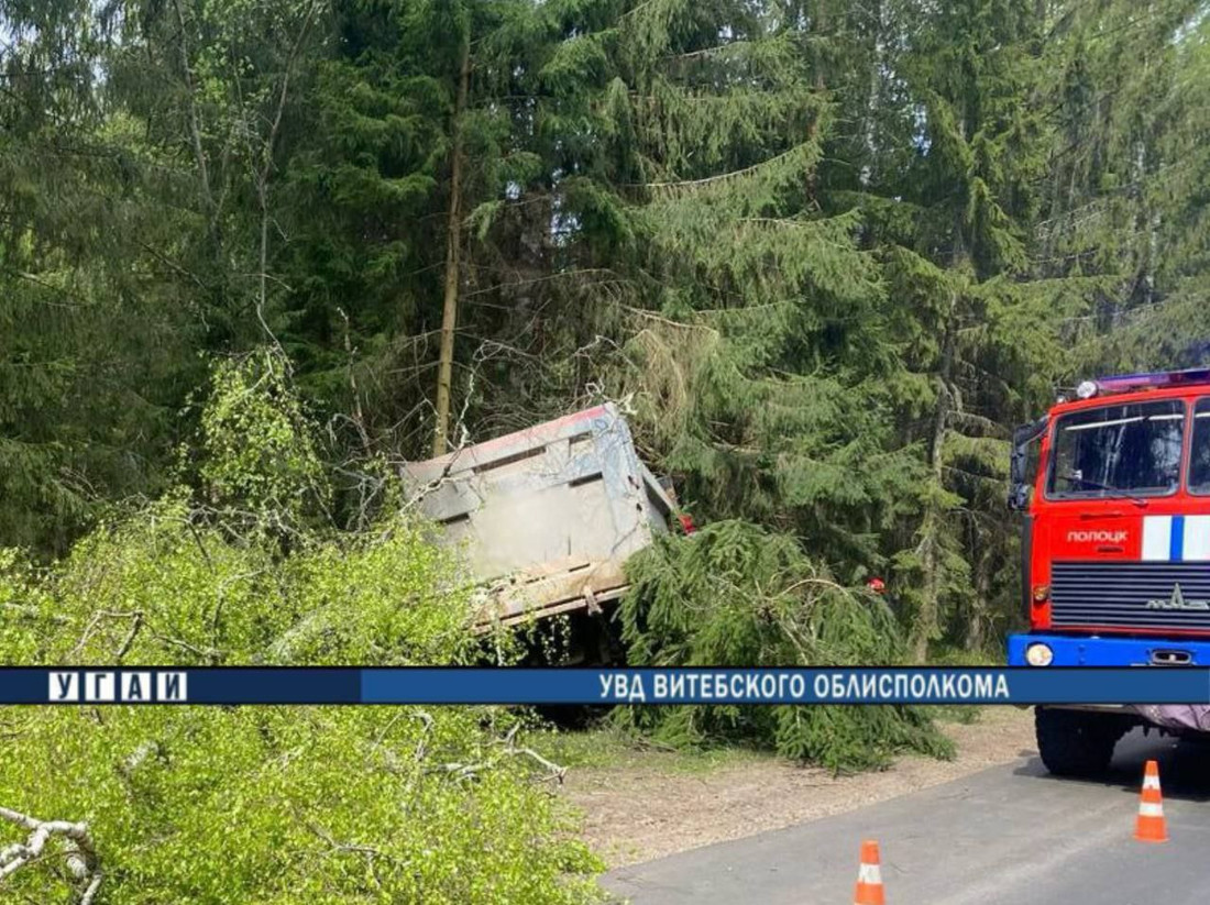 Грузовик врезался в дерево в Полоцком районе — водитель погиб