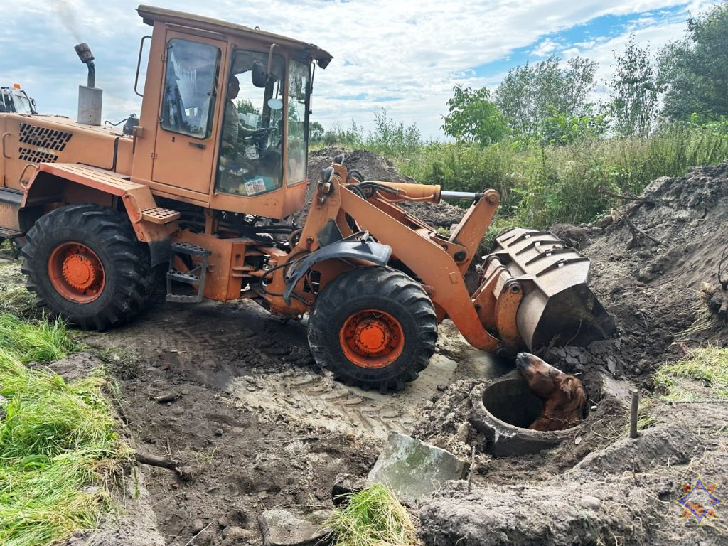 Лошадь провалилась в колодец. Доставали впятером