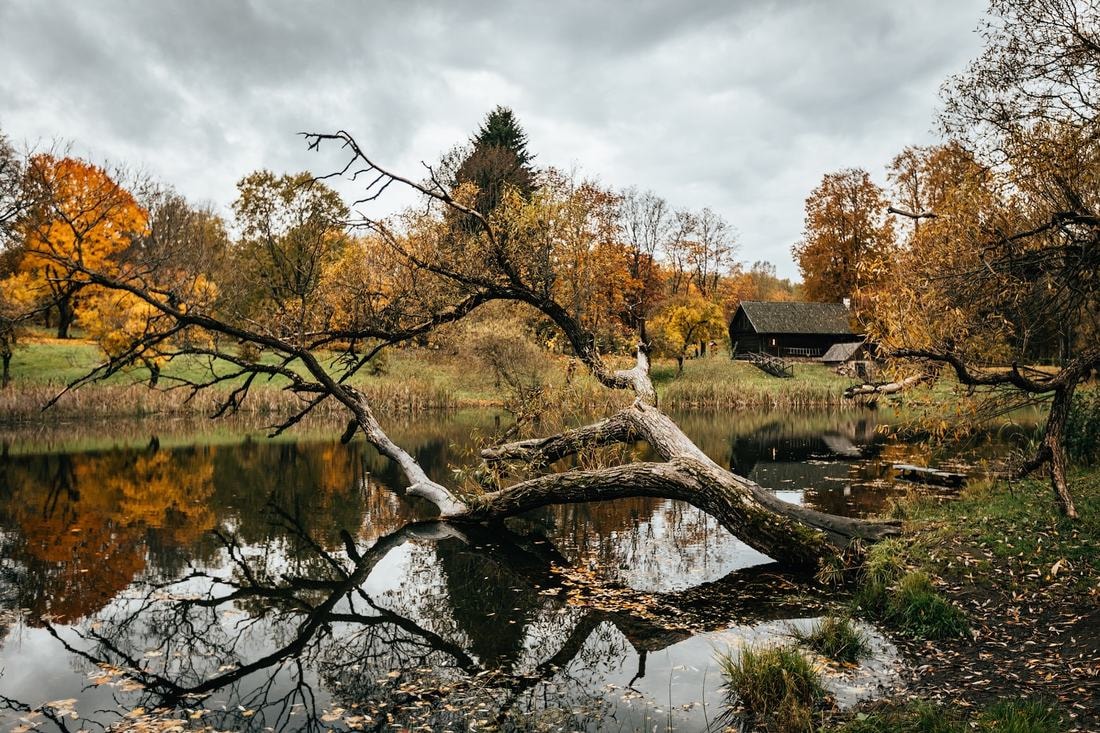 фото музей янки купалы