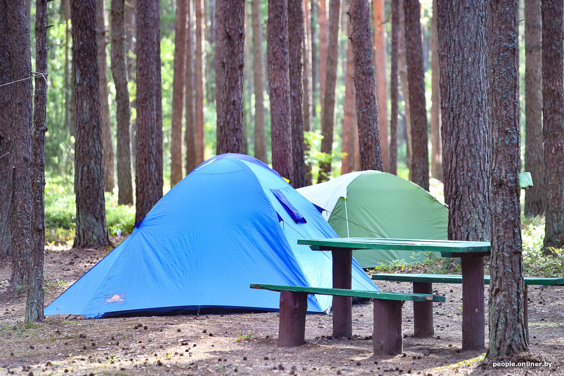 Обзор кемпинга. Современный палаточный лагерь. Нарочь кемпинг с палатками. Лагерь Лесное озеро. Нарочь кемпинг коттеджи.