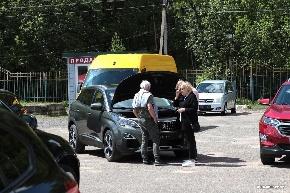 Станет ли новая база по б/у авто с данными о пробеге, розыске и ТО  полноценной помощью?