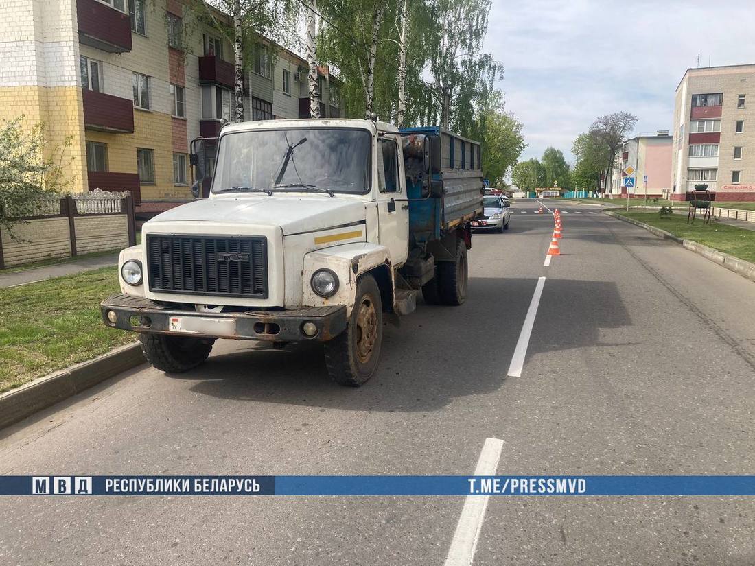 В Гомельской области девочка выбежала на дорогу перед грузовиком. Спасти ее  не удалось