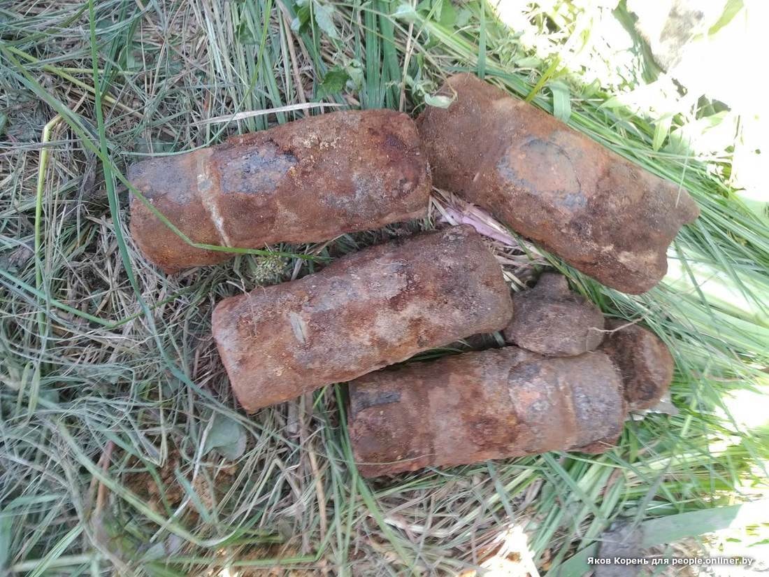 В Брестской области нашли советский бомбардировщик, сбитый 75 лет назад