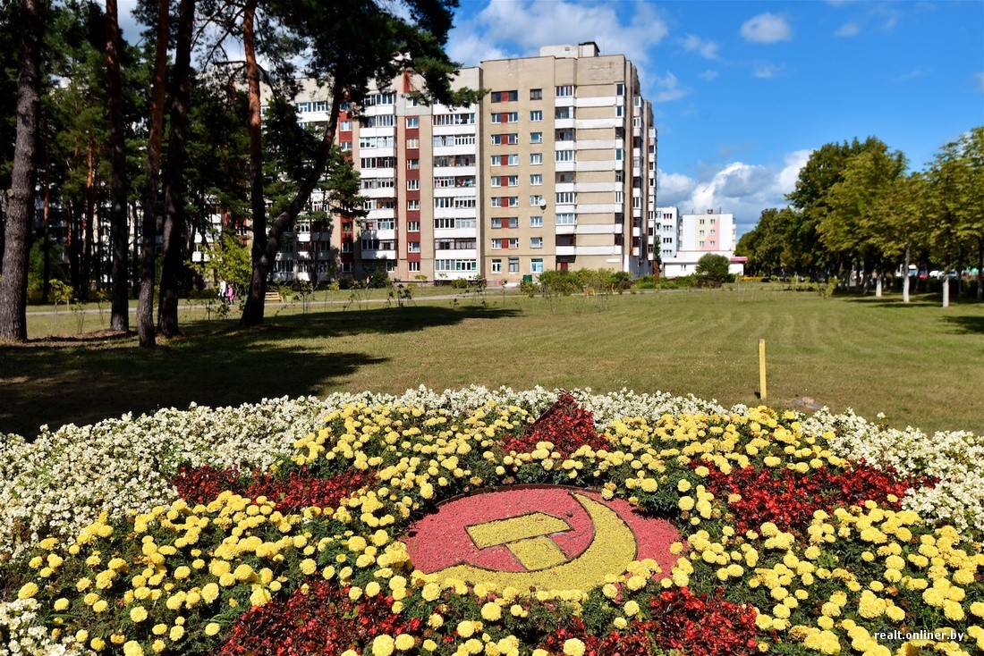 Купить Ковер В Светлогорске Гомельской Области