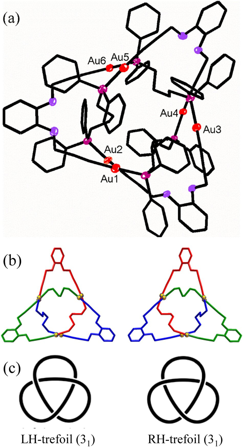 самое длинное химическое вещество