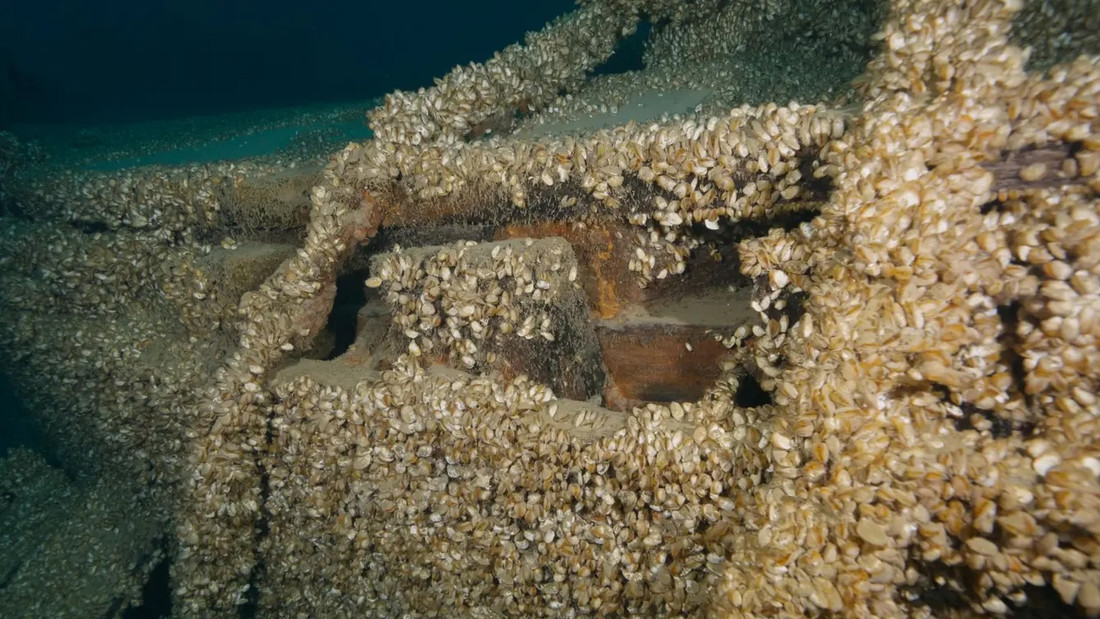 128 год. Морской археолог. Морской археолог зарплата.