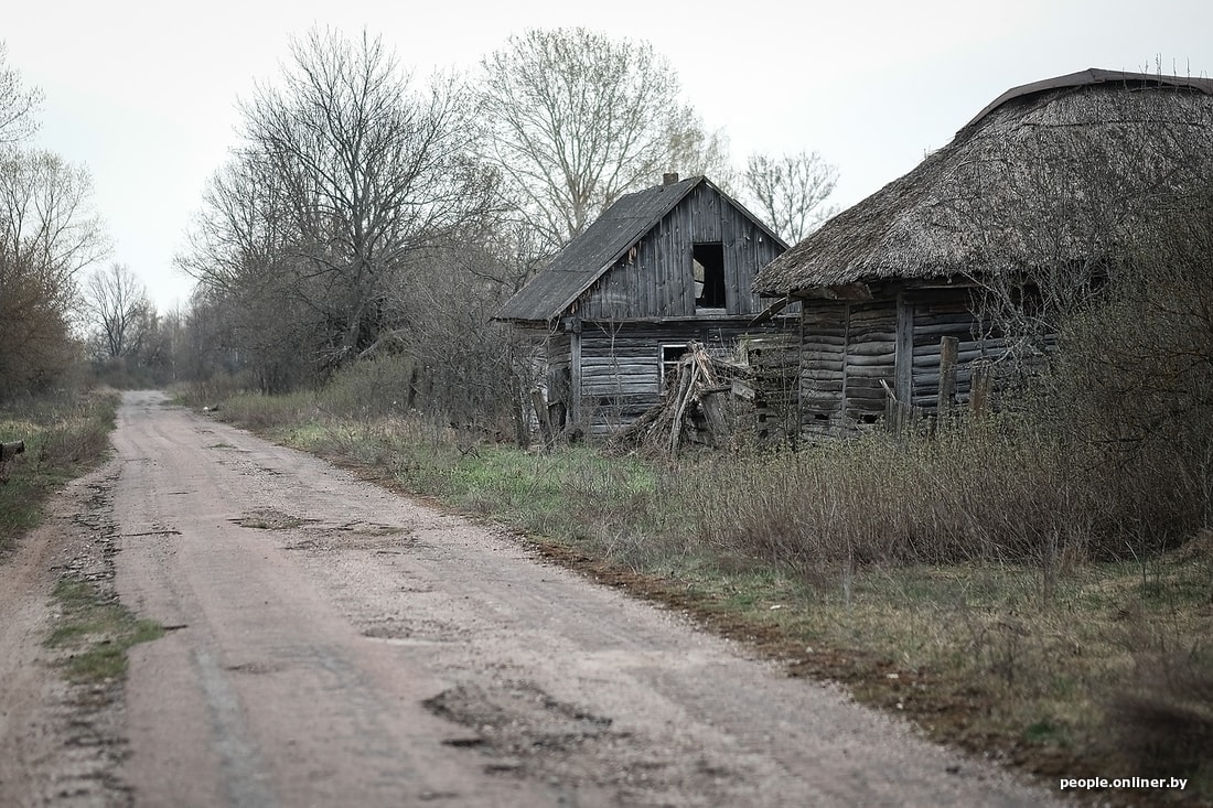 Деревня числа. Деревня Заболотье Хойникского района. Мертвая деревня. Деревня ОСОВ Хойникский район. Фото мертвой деревни.