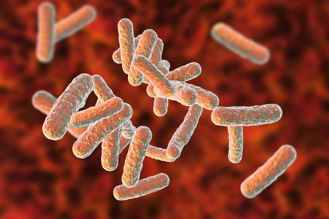 Учёные рассказали про супербактерии, способные убивать