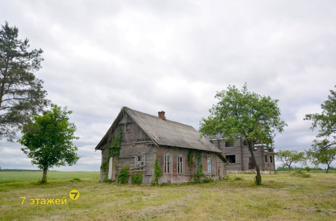 дом на хуторе белоруссия (98) фото