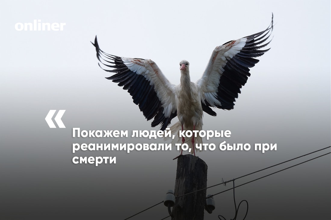 чего не хватает в поселках. ebfa2ad282fc26abf2bf4aed27df59ac. чего не хватает в поселках фото. чего не хватает в поселках-ebfa2ad282fc26abf2bf4aed27df59ac. картинка чего не хватает в поселках. картинка ebfa2ad282fc26abf2bf4aed27df59ac. На прошлой неделе мы запустили небольшой цикл статей о белорусской глубинке. Журналисты разъехались в командировки, чтобы показать, как живут и умирают маленькие деревни. Мы побывали и в увядающих населенных пунктах, и в образцовом агрогородке, который построил Нацбанк. Заглянули в гости в частное фермерское хозяйство и в поселение дауншифтеров. А затем сравнили белорусскую агрореальность с польской. Пришло время сделать некоторые выводы.