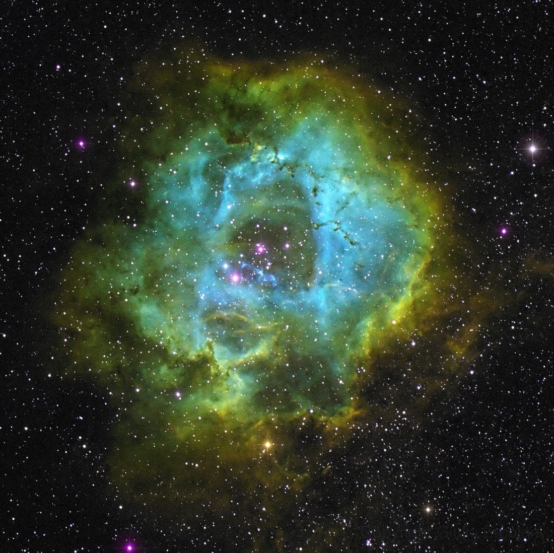 Ngc. Туманность NGC 2237. Туманность розетка NGC 2237. Розетте Небула. Космос.