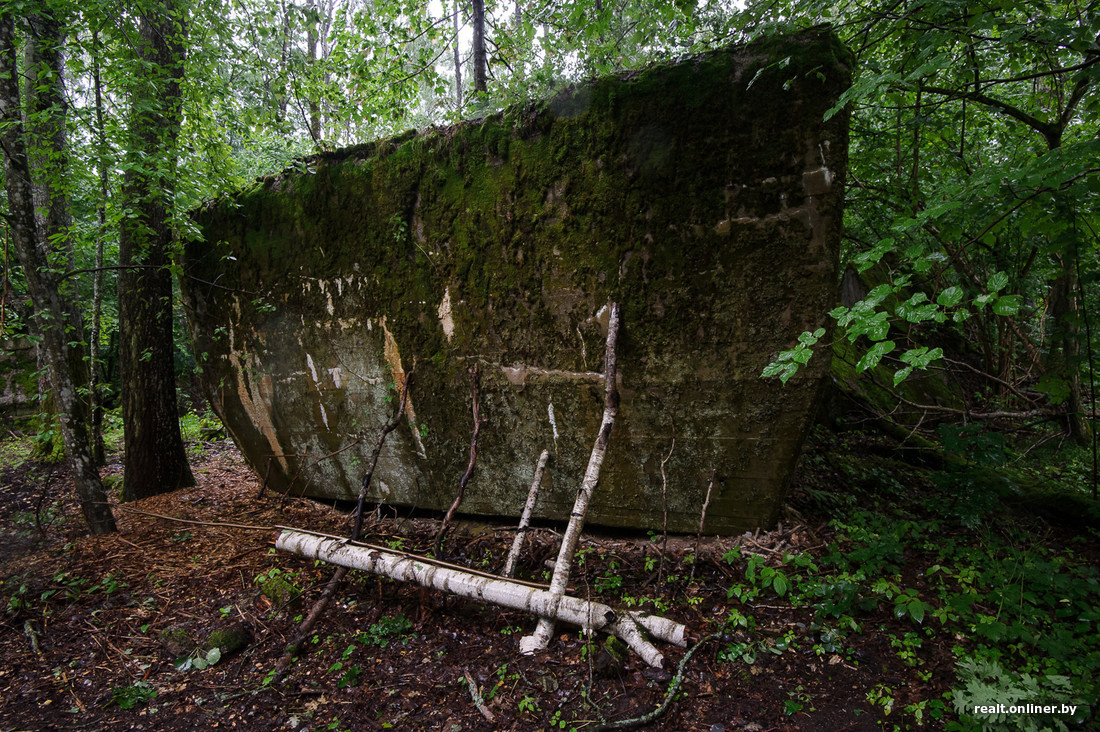 Лесной телеграф. Перуница Волчье Логово. Лесное Волчье Логово. Логово в лесу. Волчье Логово база отдыха.