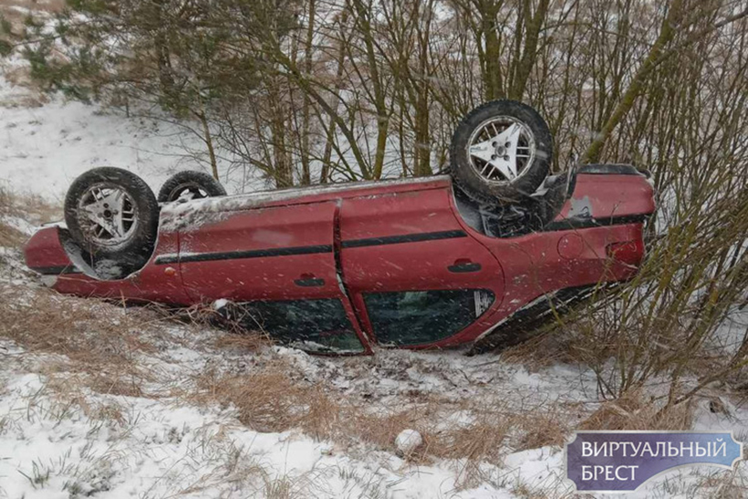 На юге страны — весенний день жестянщика. Ждать ли в Минске?