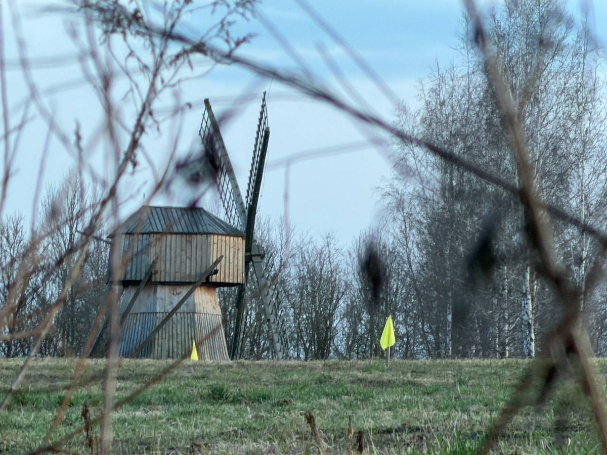 «Они часто летали тут» Что говорят местные об упавшем дельтаплане