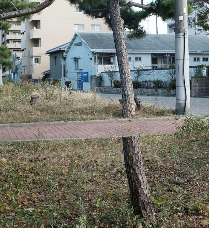 подборка снимков