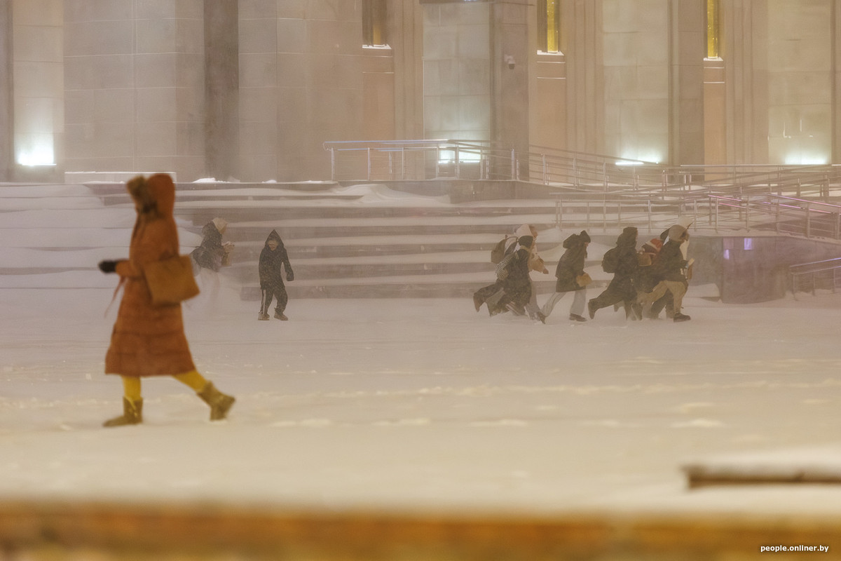 россияне поделились впечатлениями