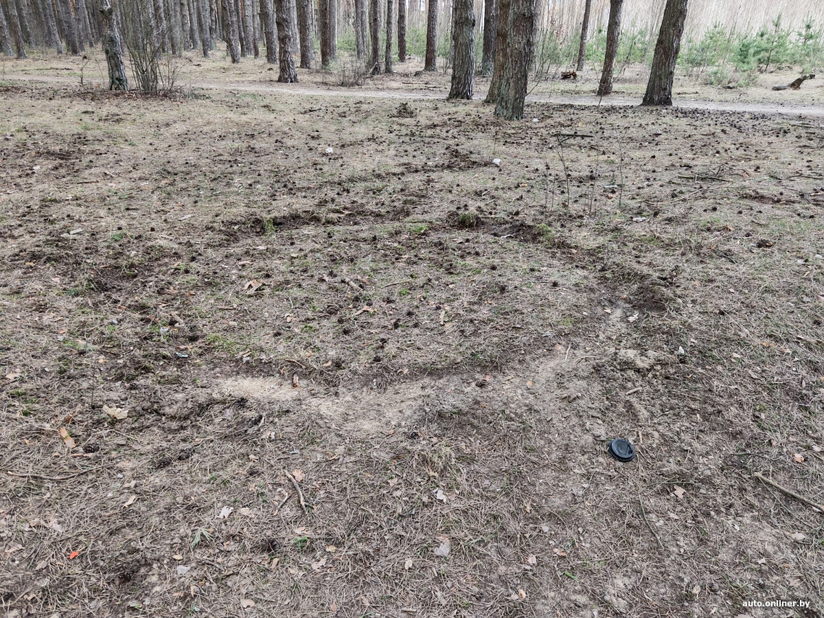 В Пинске
