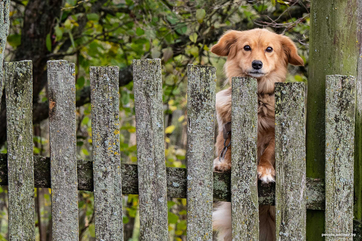 история белоруса