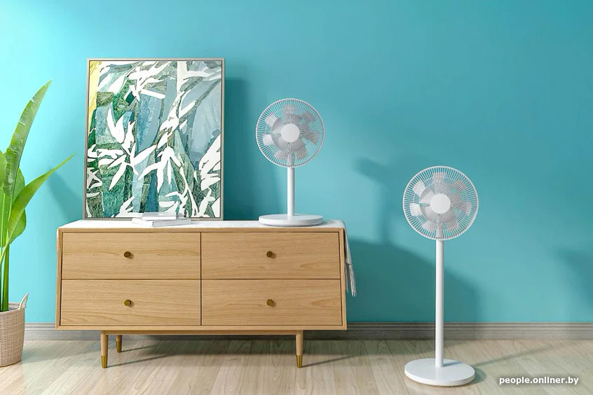 Xiaomi Mi Smart Standing Fan 2 BPLDS02DM