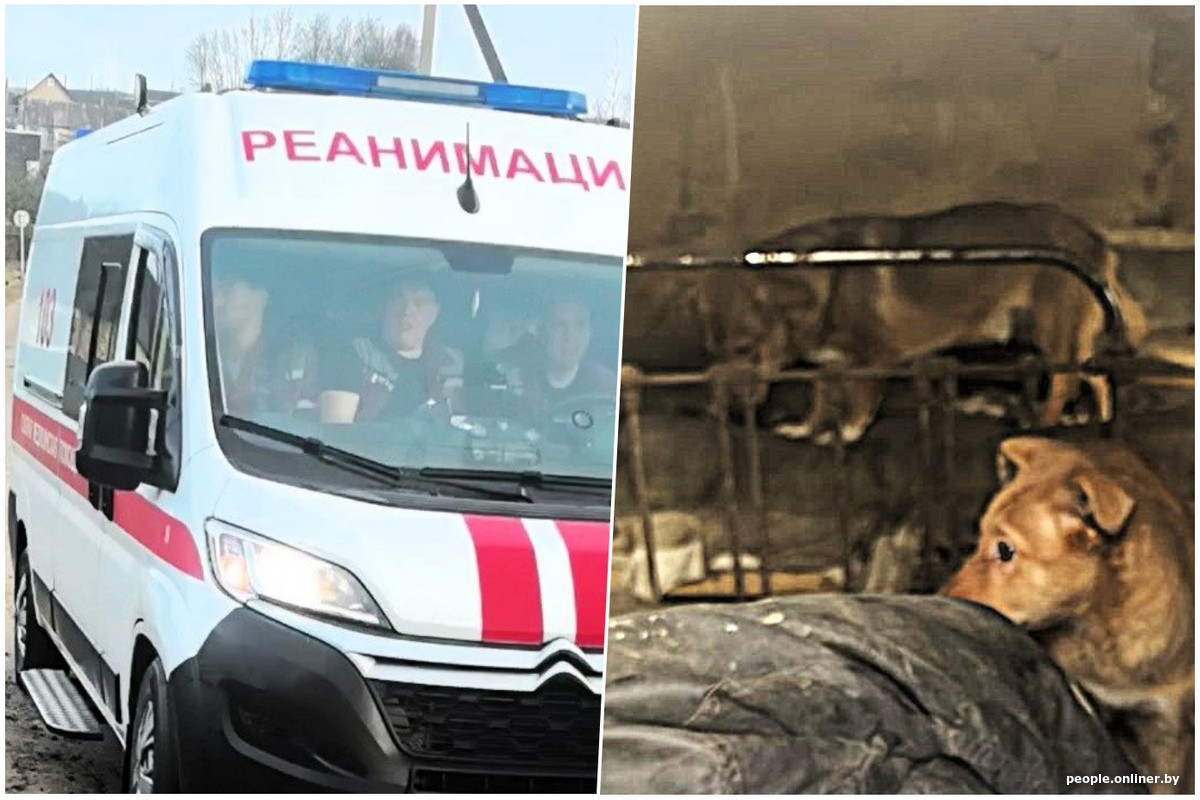 история белоруса