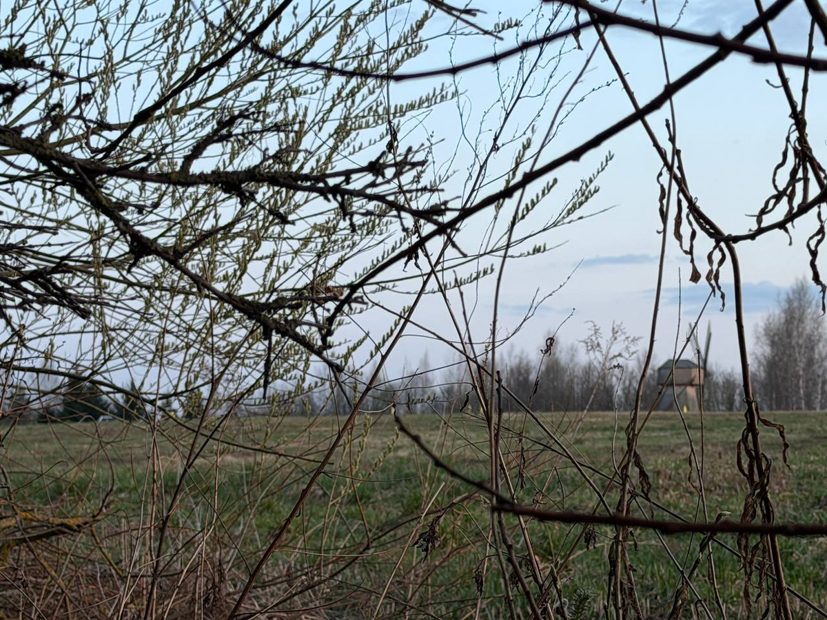 «Они часто летали тут» Что говорят местные об упавшем дельтаплане