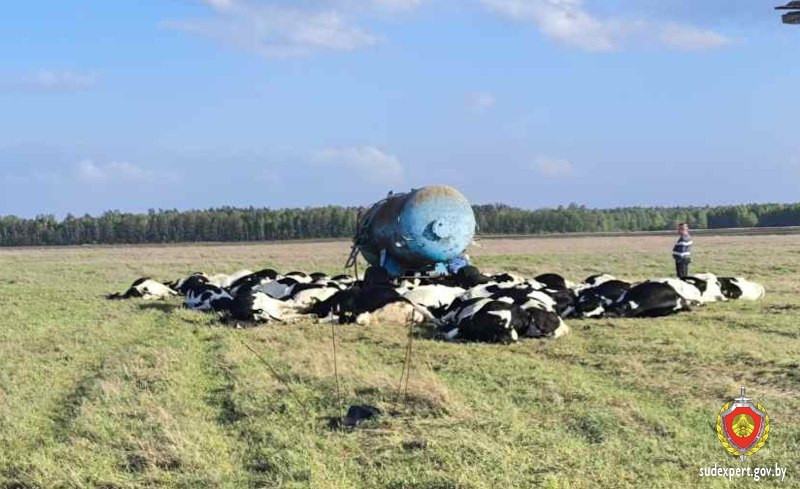 в Беларуси