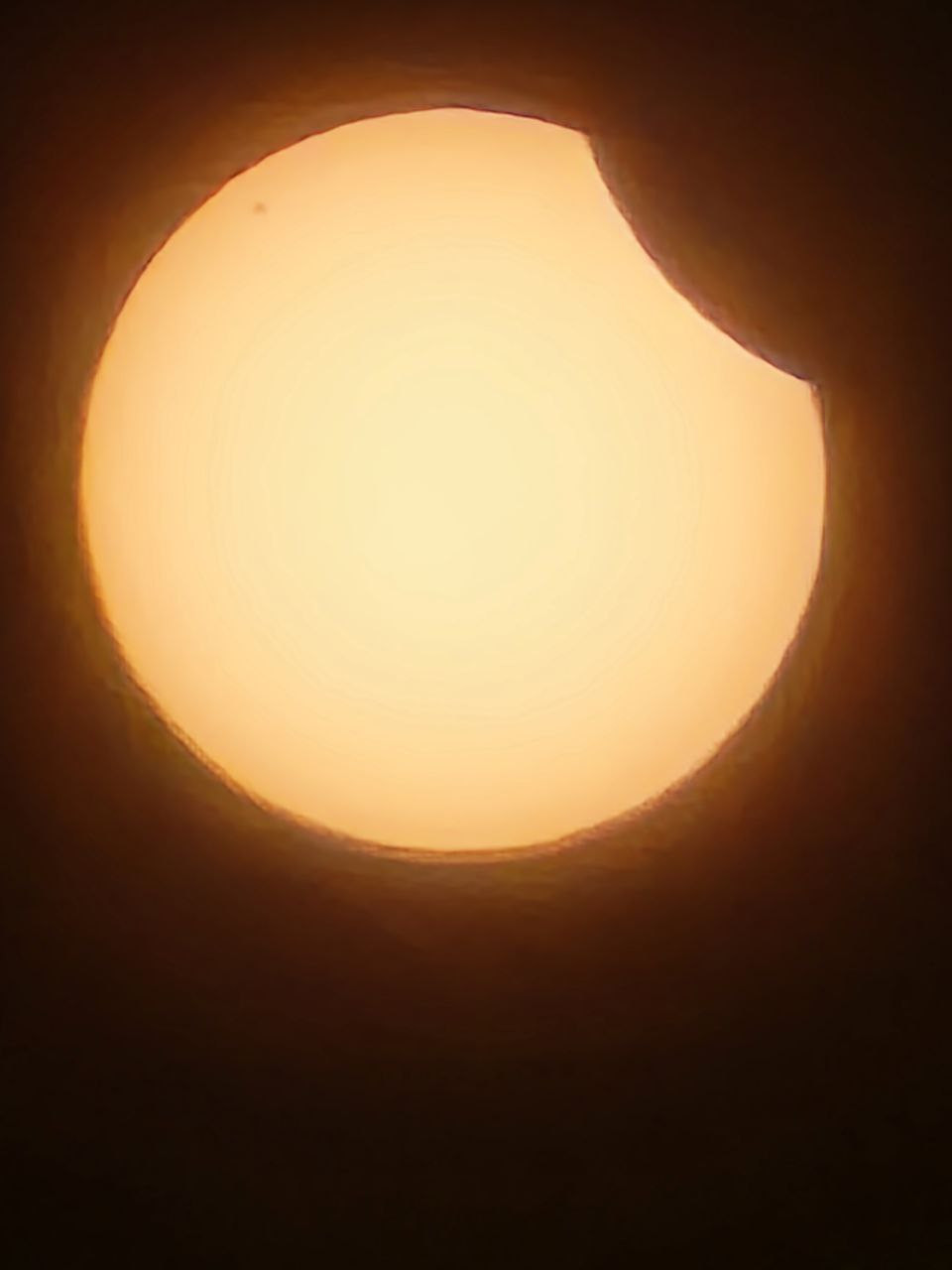 Фото: onliner.by