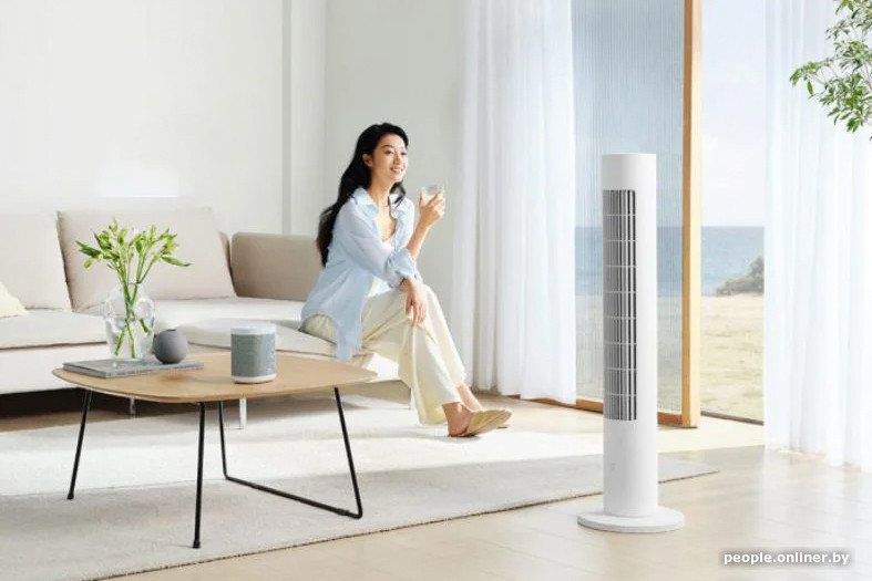 Xiaomi Mijia DC Inverter Tower Fan 2 BPTS02DM