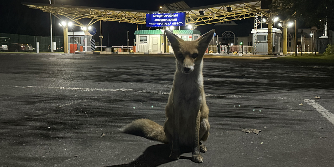Ночью Польша открывает границу — репортаж из Бреста