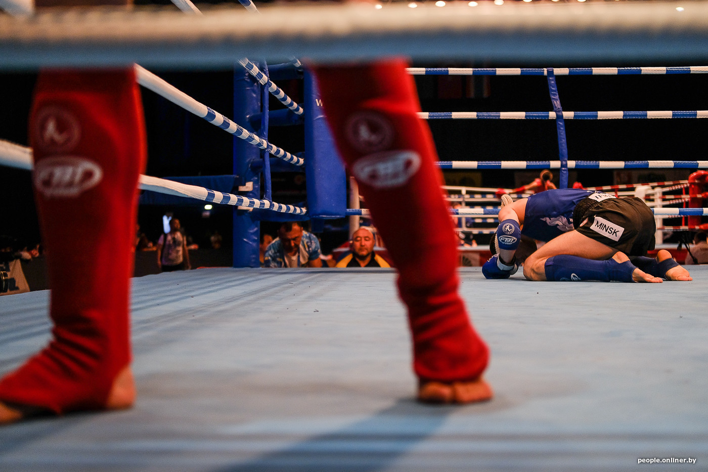 Egis Ungaria �������� ������: ����.