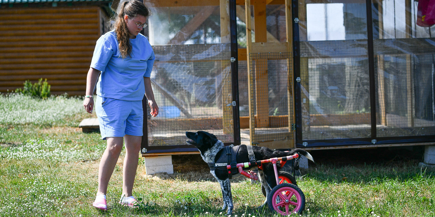 21-летняя белоруска с эпилепсией мастерит для животных-инвалидов коляски - Новости
