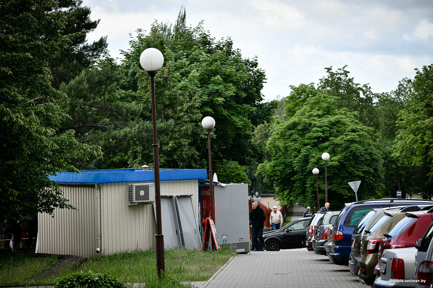 Почему птицы в Гродно нападают на людей